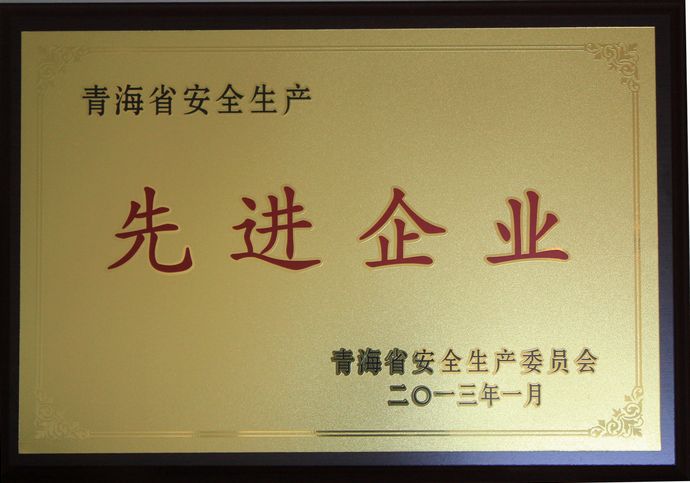 青海物產(chǎn)榮獲“2012年度安全生產(chǎn)先進(jìn)企業(yè)”榮譽(yù)稱號(hào)