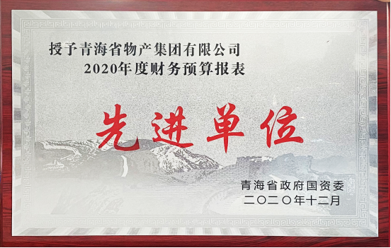 物產(chǎn)集團(tuán)榮獲國資委2020年度財務(wù)預(yù)算報表工作先進(jìn)單位和省財政廳2019年度全省